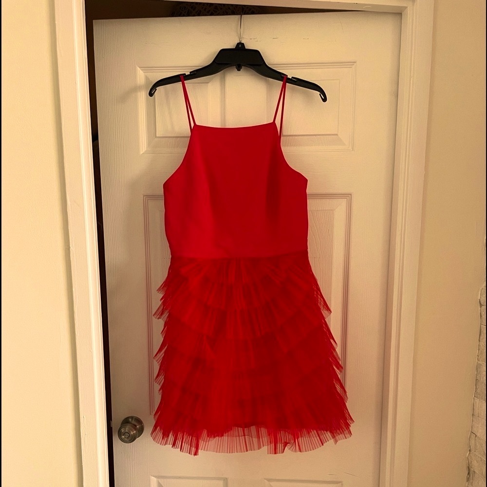 BCBG Maxazria red dress. Brand new. Unfortunately doesn t fit me anymore :(